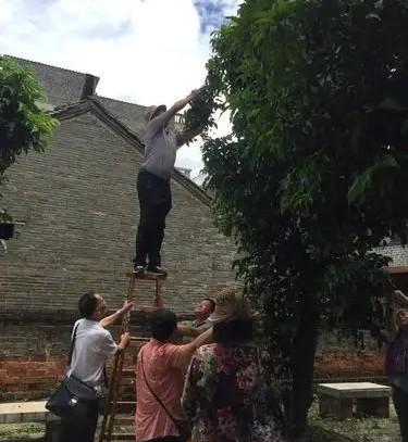 据悉，去年7月初，70岁的邓大爷骑着摩托车回家，在家门口自家修建的小路，碰到53