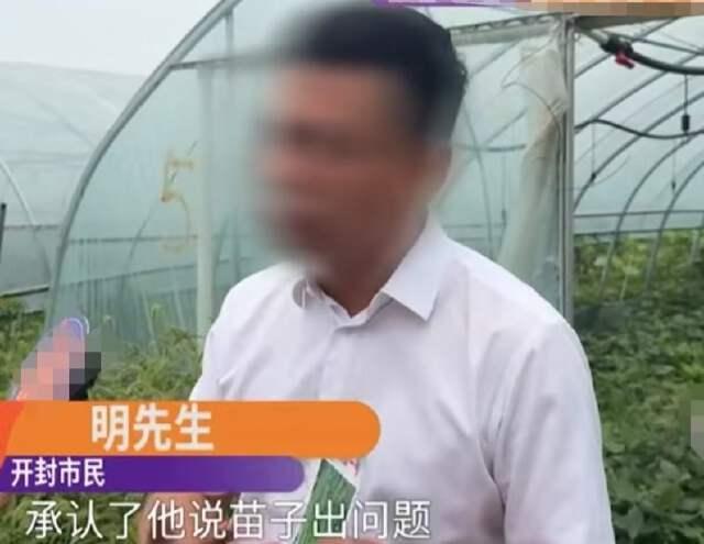 河南开封，明先生在大棚里种了60亩辣椒，辣椒成熟后形态各异，根本不是他要的“杭椒