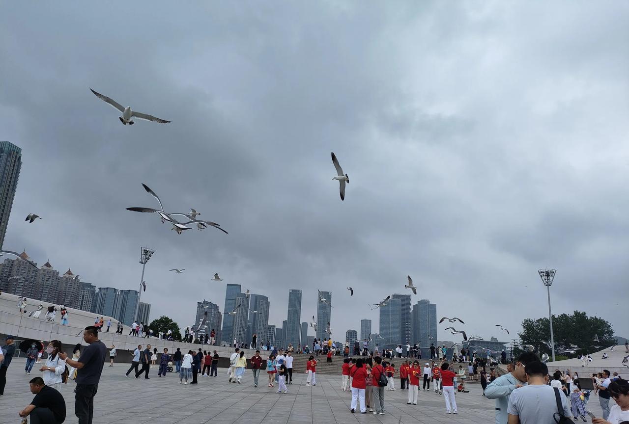大连的免费景点，老少皆宜！大连是座美丽的海滨城市，冬天不太冷，夏天不太热，宜居