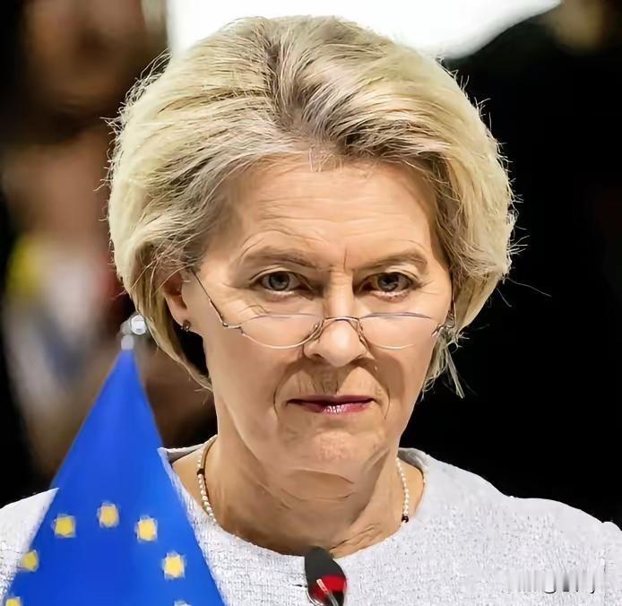 欧盟主席冯德莱恩被议员当众怒斥。欧洲议会波兰籍议员布劳恩在会议上公开怒斥冯德莱恩