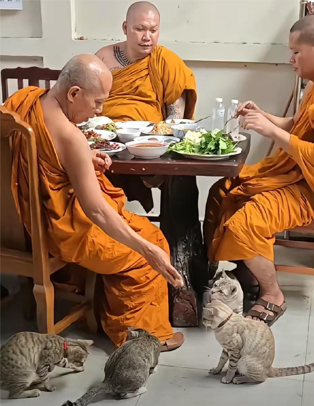 泰国寺院僧人就餐时的一幕，一住僧人吃完大鱼大肉后，双手合十，还念经，并且手臂上还