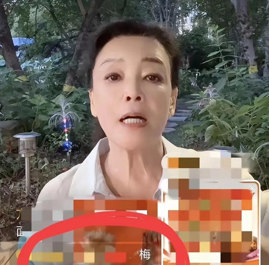 兰姐能够正常直播带货了，她一开播就有小黑粉捣乱刷屏捣乱了：梅超风又开始消费儿媳妇