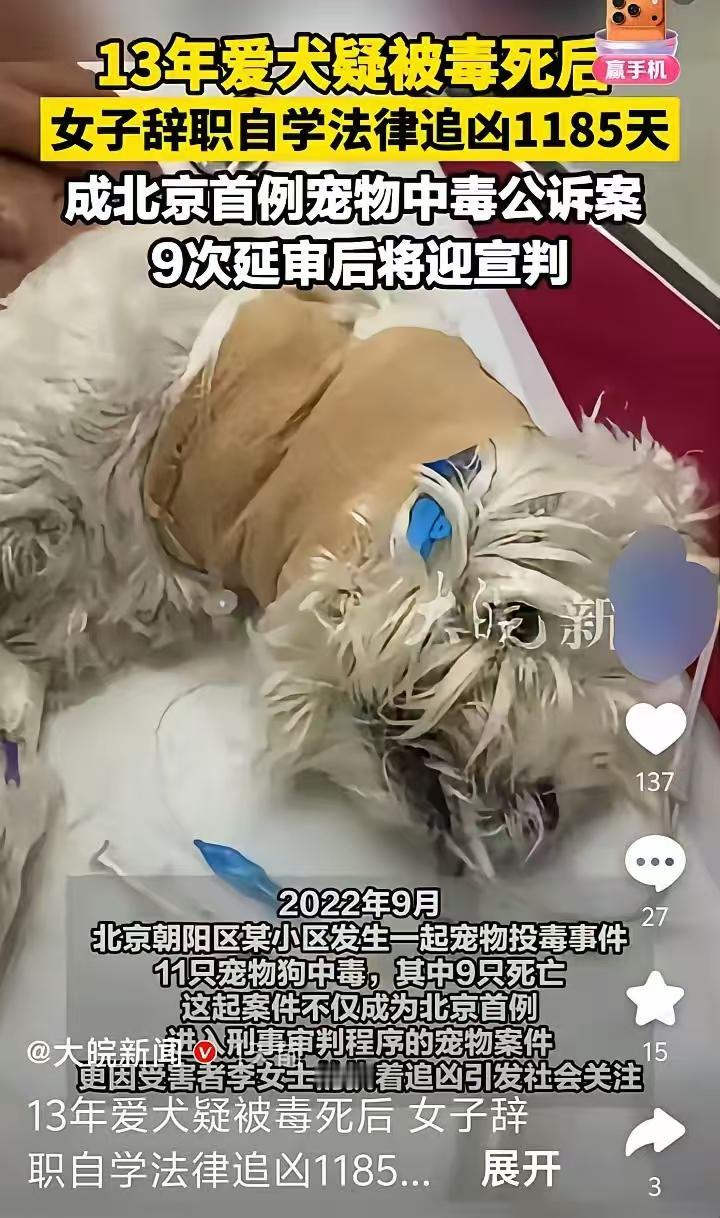 十问宠物投毒案；我养狗十几年了，不仅出门栓绳进电梯前我就会把狗抱起来。有陌生人的