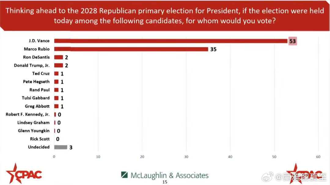 美国保守派大会非正式民调：如果2028共和党党内初选今天举行，你会选谁做总统？副