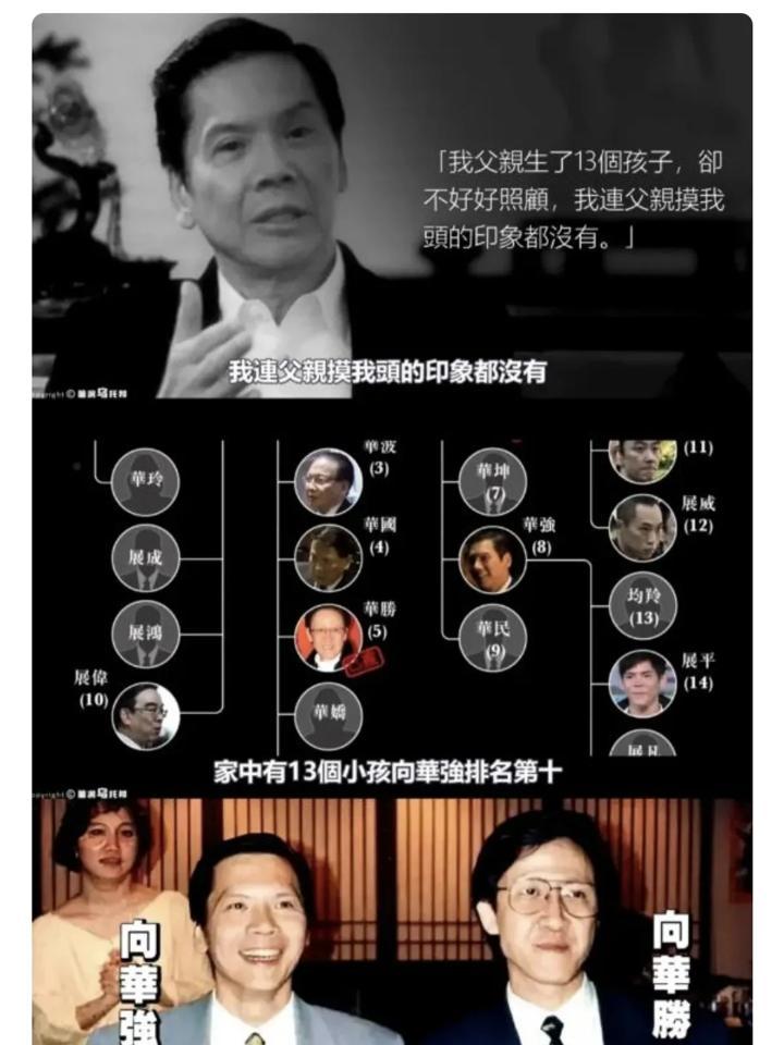 父亲是“九龙皇帝”，向华强开学却没有一本属于自己的新书。十三名子女，他排第十。