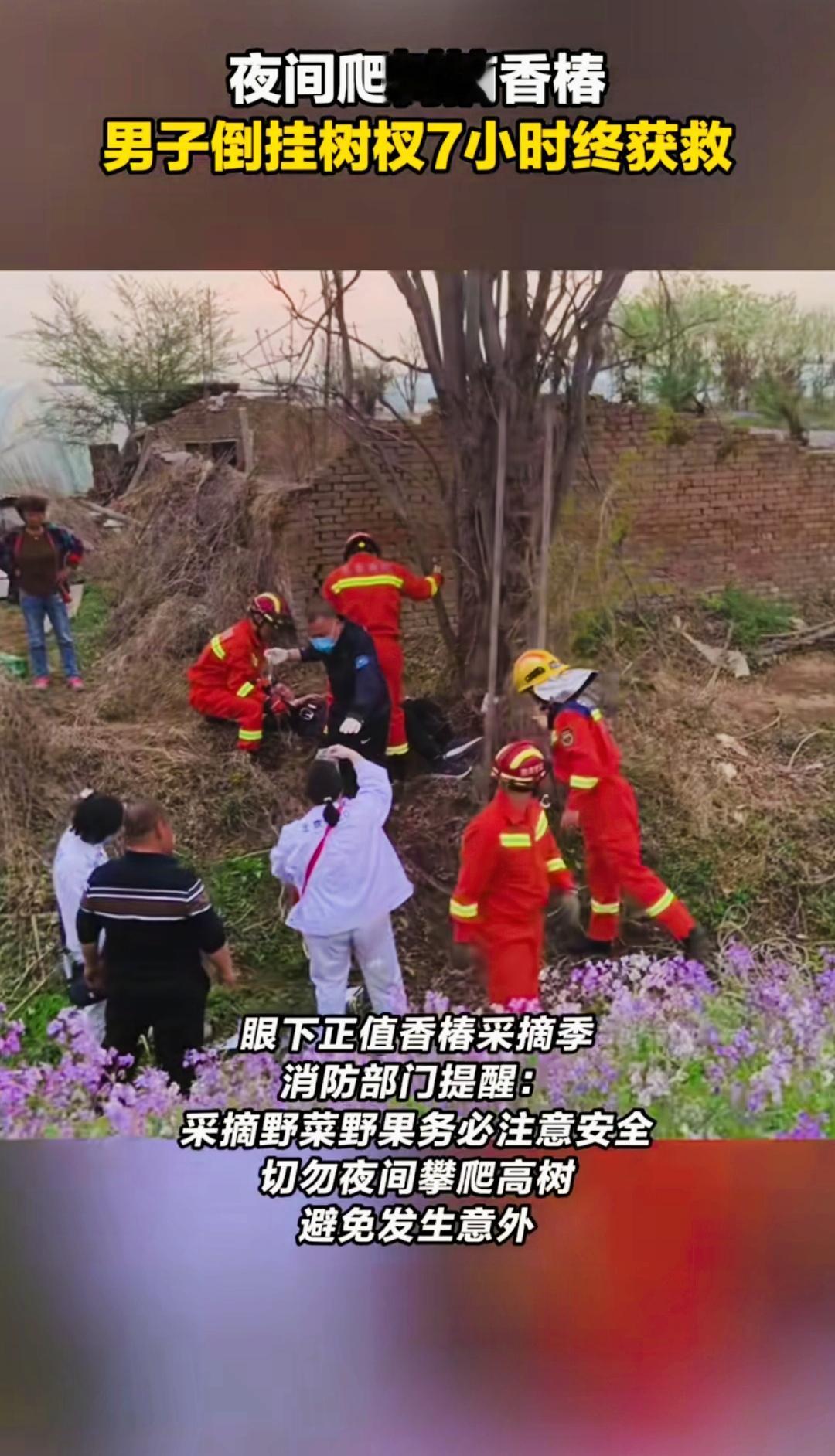 夜爬香椿树，腿卡树缝里，倒挂一整夜北京顺义一男的，晚上十点爬树摘香椿，结果一