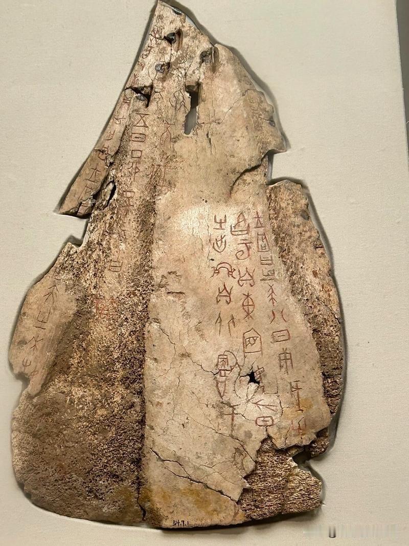 如果Ai这么牛！或许能帮我解开很多远古或者上古时代的秘密，离我们时间最远的文字毫
