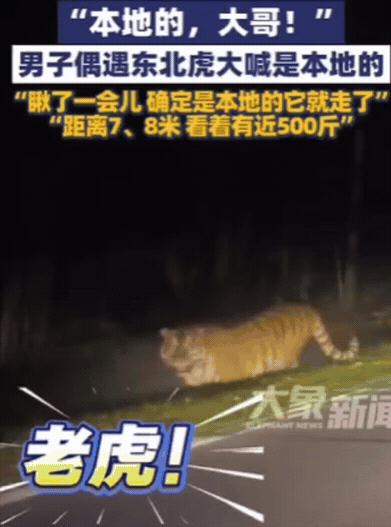 解释不清了！10月18日报道，吉林一女子晚上打车回家，结果，司机开到一偏僻处，突