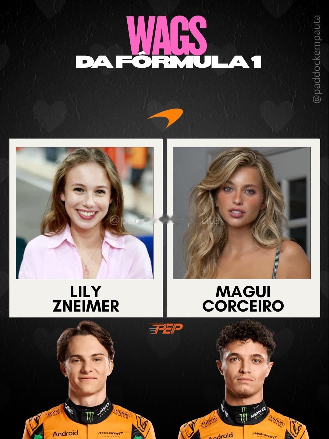 F1赛车手和他们的女朋友（老婆）们