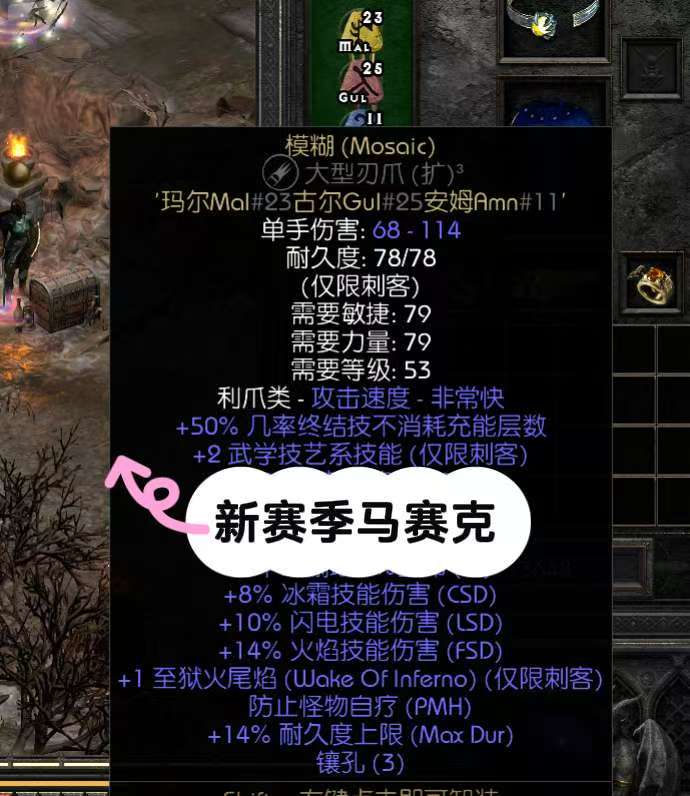 暗黑破坏神2你体验过马赛克刺客没？