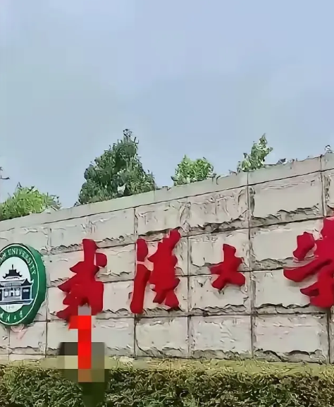 武大深夜连发两份声明，回应杨同学保研事件。武大表示，杨同学本科、硕士均在本校