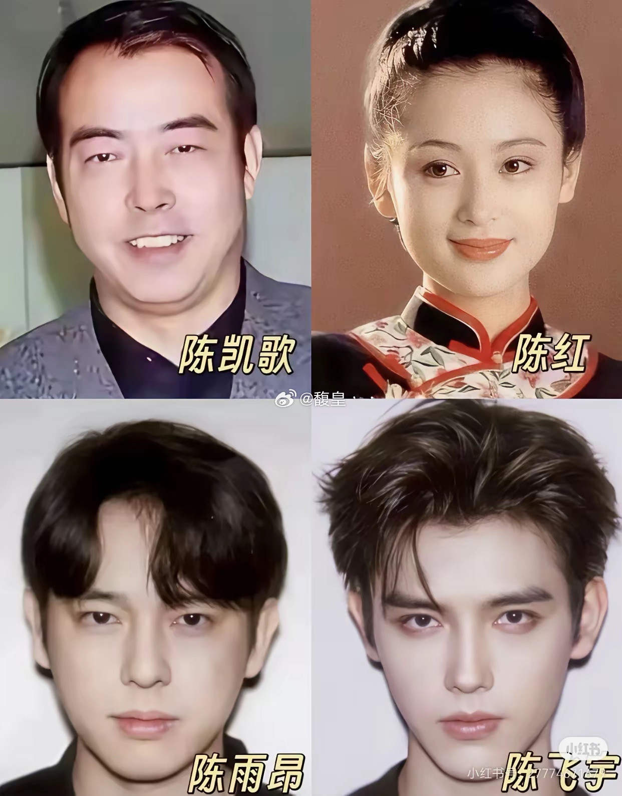 陈凯歌的两个儿子，陈雨昂像陈凯歌，陈飞宇像母亲陈红，长相风格完全不一样。