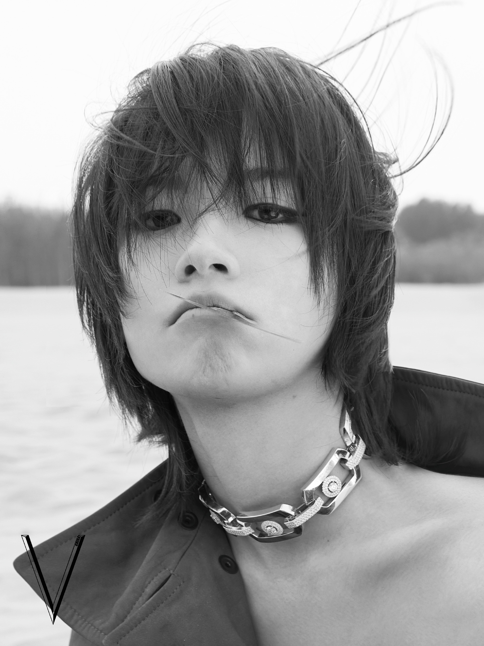 李庚希V中文版六月刊封面V中文版李庚希猫塑美学摄影：范欣