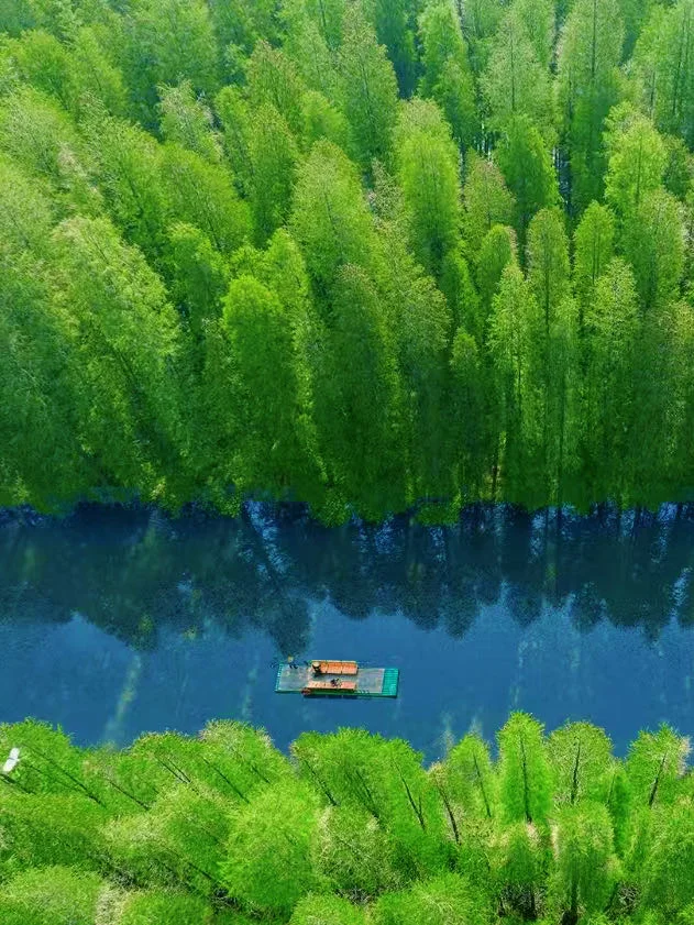 不是瑞士！南京2h，我闯入了现实版的绿野仙踪