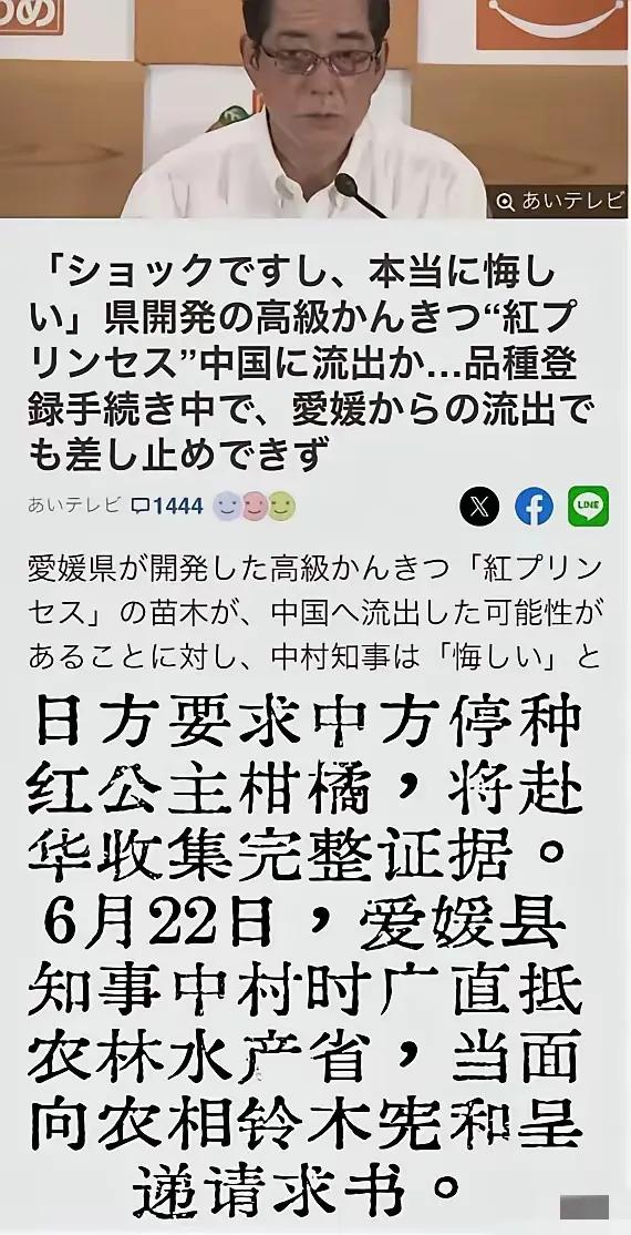 近日，日方要求中方停止种植红公主柑橘，还宣称要赴华收集完整证据。挺有意思，我们