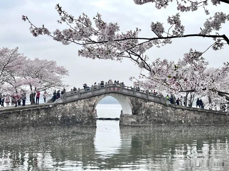 江宁和江北对南京有多重要?江宁和江北对南京有多重要？这俩地方简直是城市发展的左