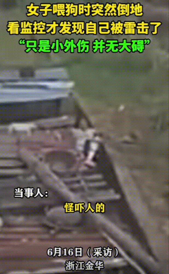“这是上辈子拯救了银河系吧！”浙江金华，一女子喂狗的时候，突然一道闪电从天而降，