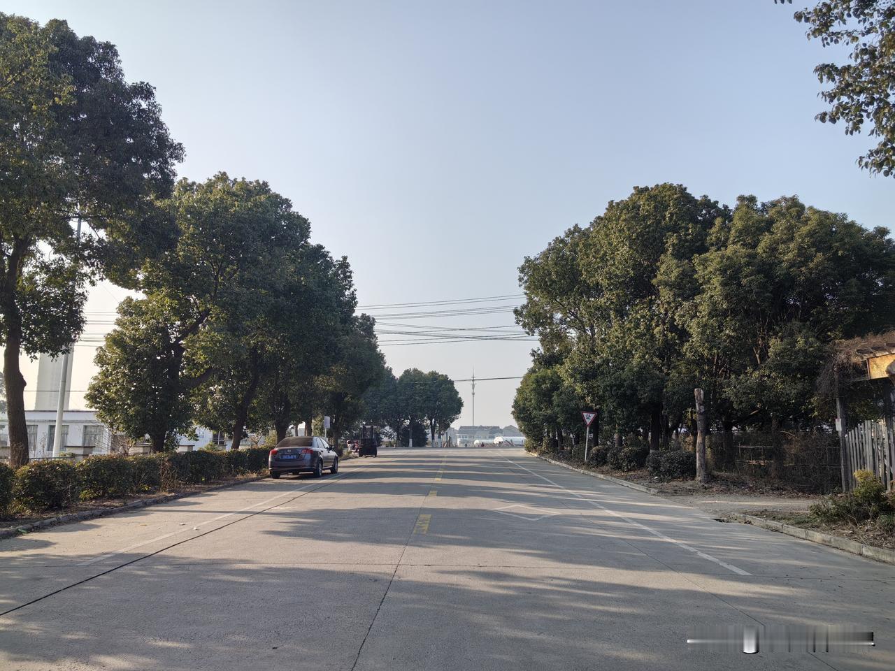 我有个同学，他们家做事最与众不同，他们姊妹三个结婚生子，他们爸爸都从未为他们办过