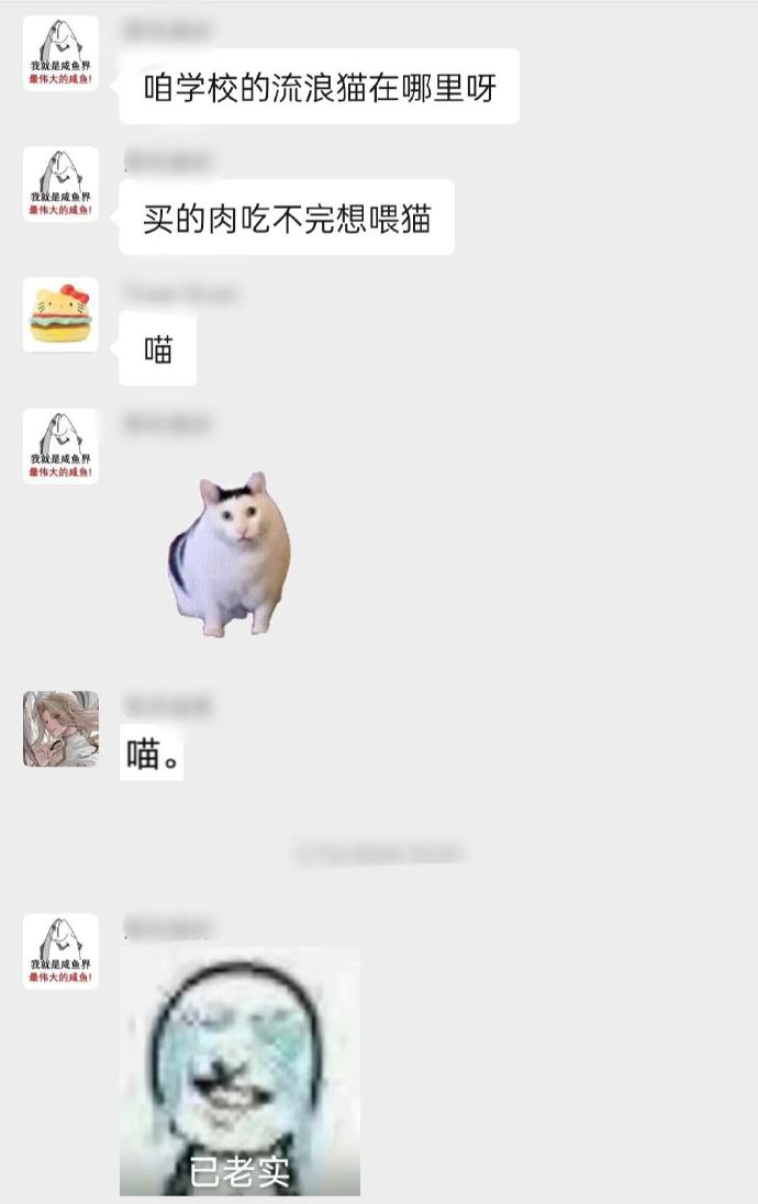 大学宿舍群简直是可爱版业主群​​​