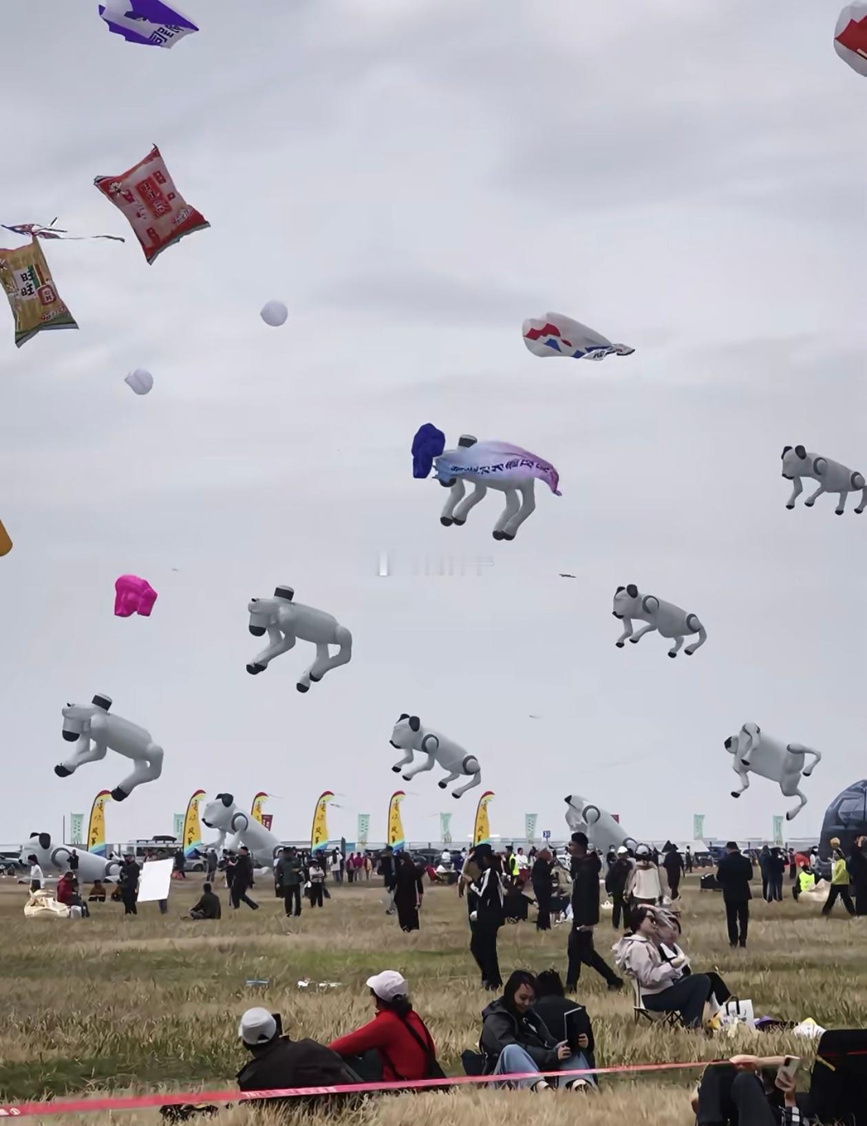 今年的山东潍坊国际风筝节！潍坊人：就没有我放不到天上去的！