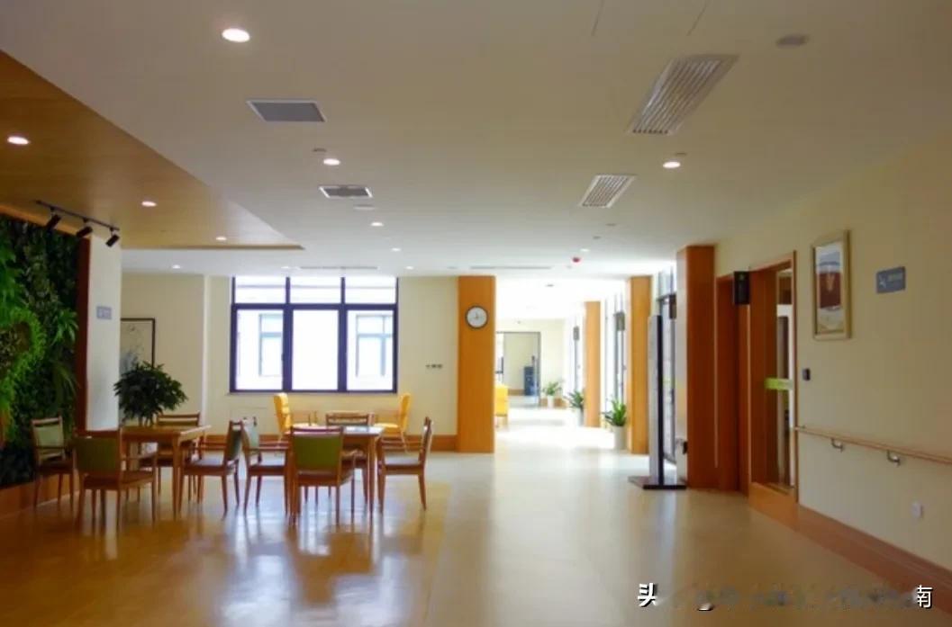 养老院真实情况，和你想的真不一样！我是自作主张，住在养老院的，好多亲戚还担心我
