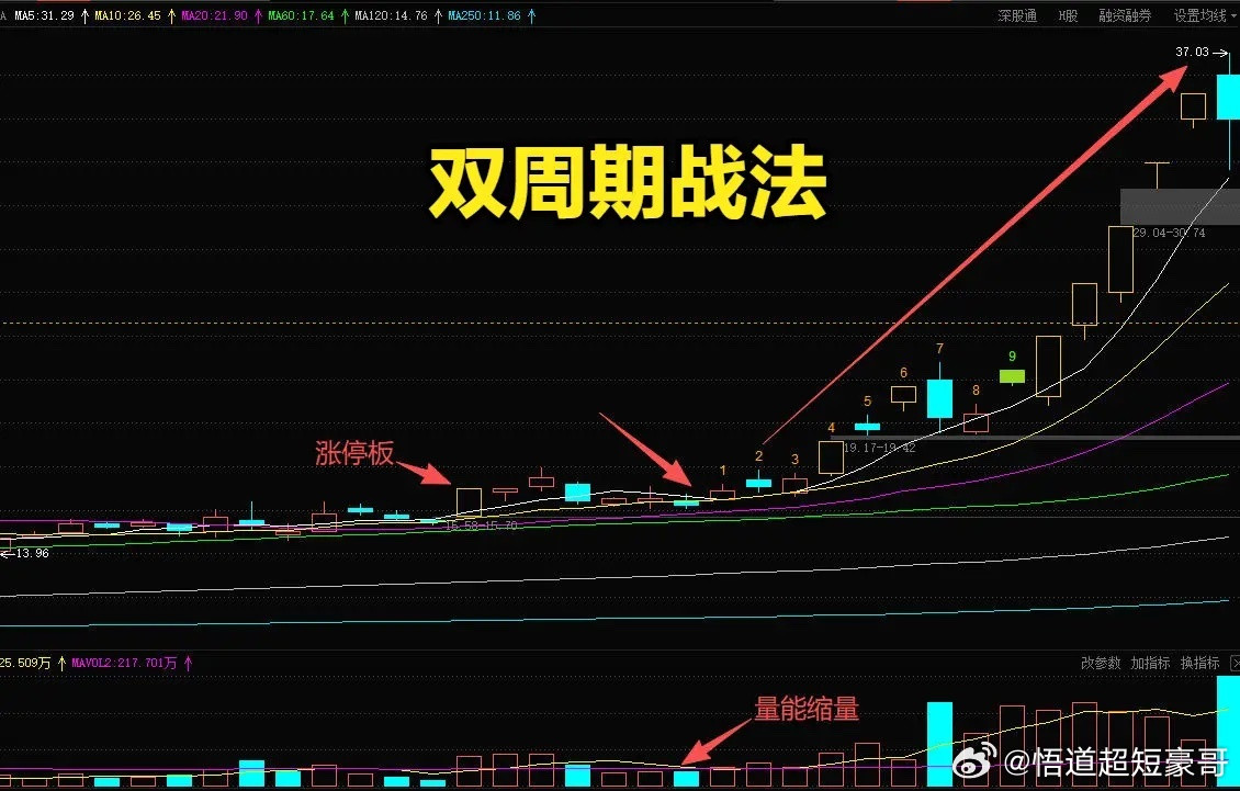 极简双周期交易战法！周线定方向，日线找买卖，新手一看就会做交易不用盯着繁杂指标，