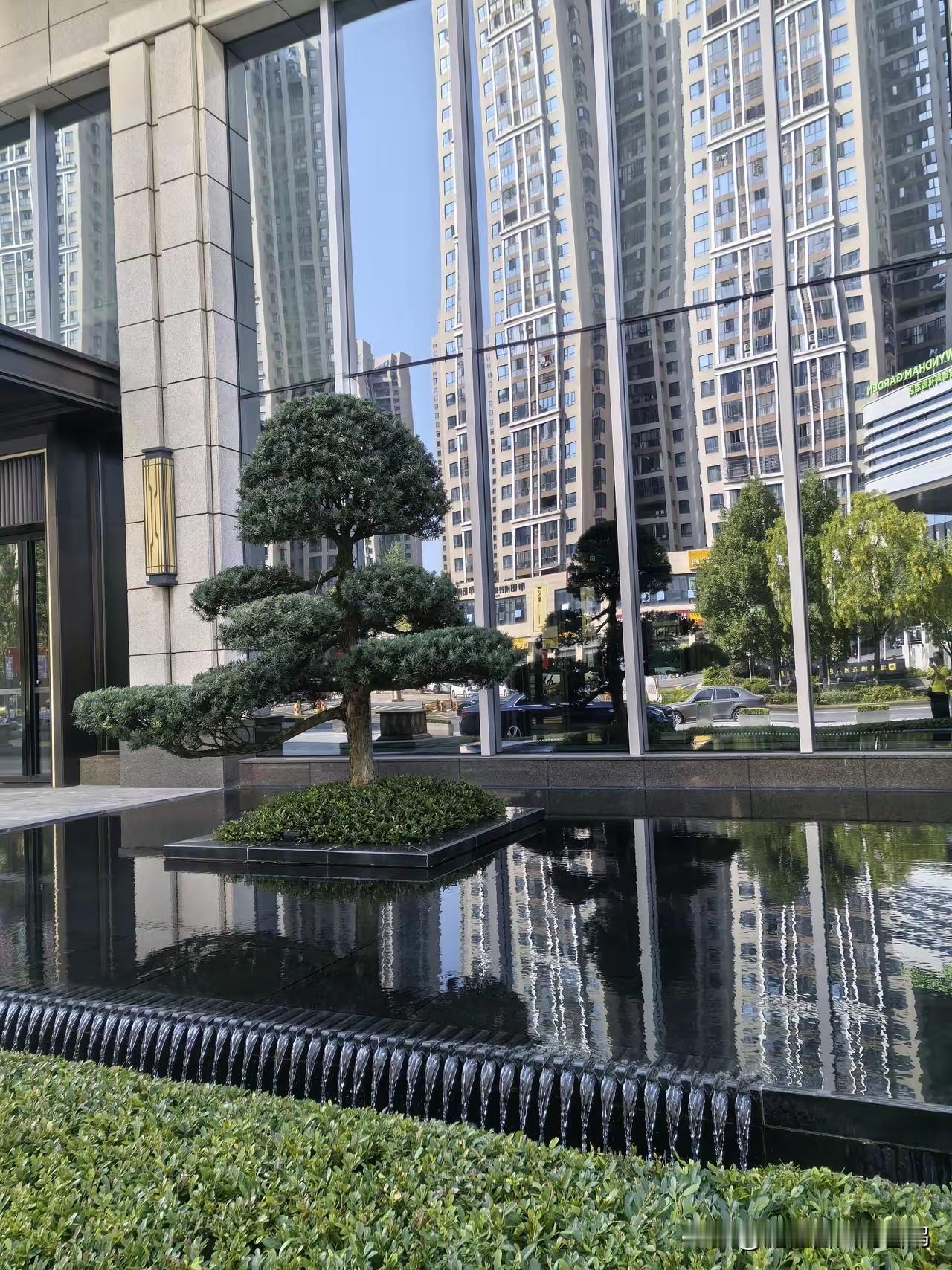 儿子在上海工作，昨天打电话聊了会儿天。听他说中日关系紧张，如果要征兵打仗他会去