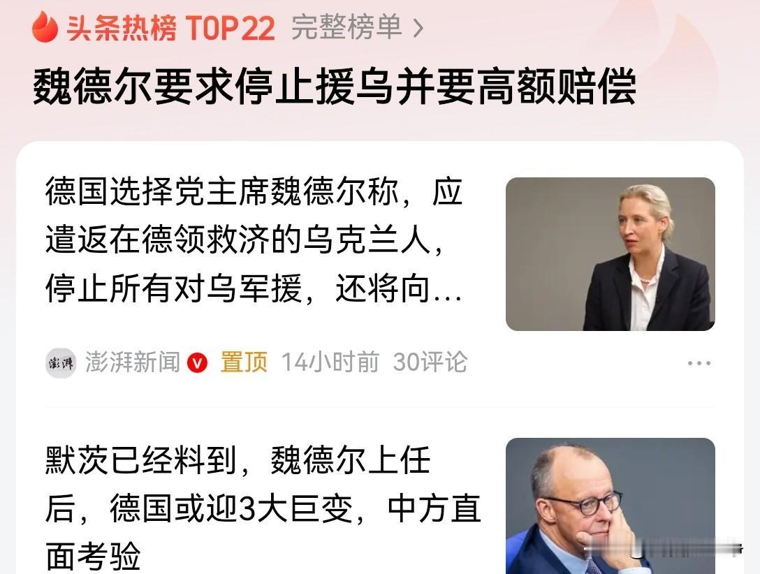 魏德尔如果上台了，全球的乌粉估计就得气疯怪不得西方的媒体一直说他是极右翼呢，他