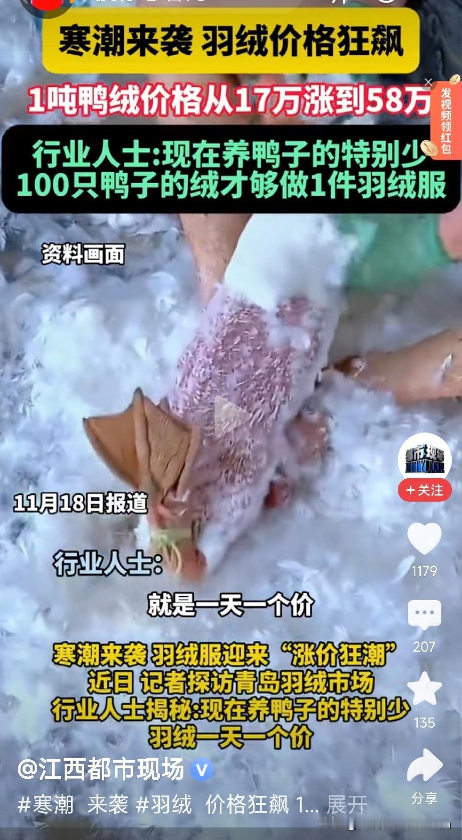 寒潮马上到！你会选羽绒服吗？朋友们，今天看到一个惊人数据：1吨鸭绒从17