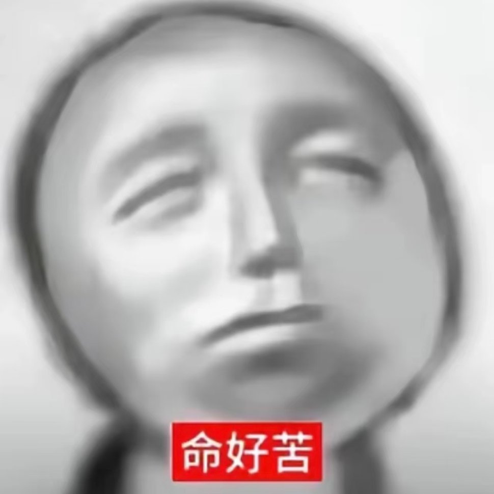 学长给我拍的照片：除了性别真的一模一样还专给我找阳光的地方又黑又虚大小