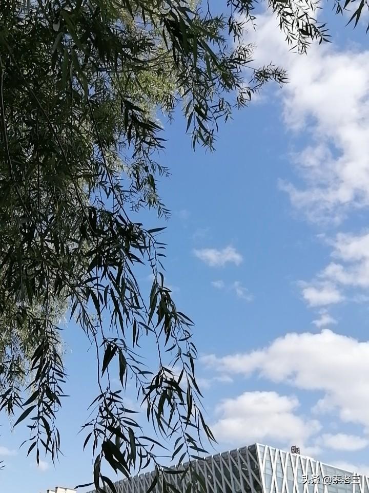 我一个表弟，49岁。彻底躺平，啥也不干了。表弟以前在一家公司上班，年薪十几万