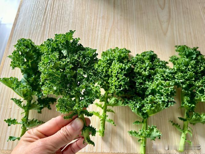 吃对食物，可以减少肝脏负担！记得肝脏最喜欢吃的食物！1.西兰花2.大蒜