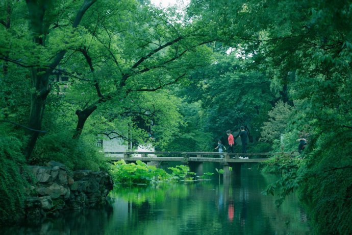 苏州·拙政园之夏，荷风四面送花香，亭台倒影入池塘，美的无法言喻。​​​