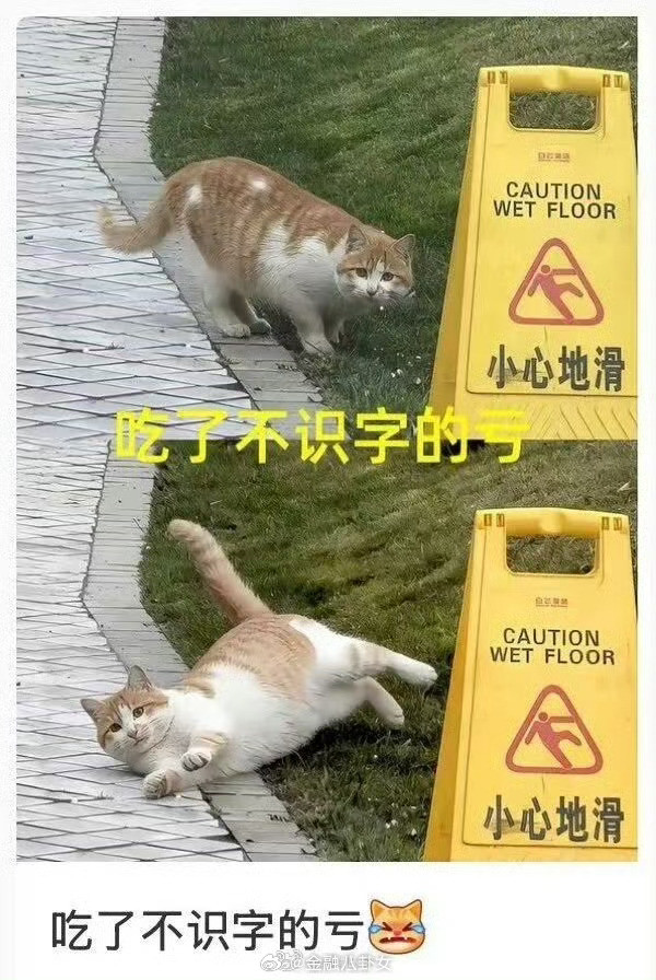 吃了不识字的亏