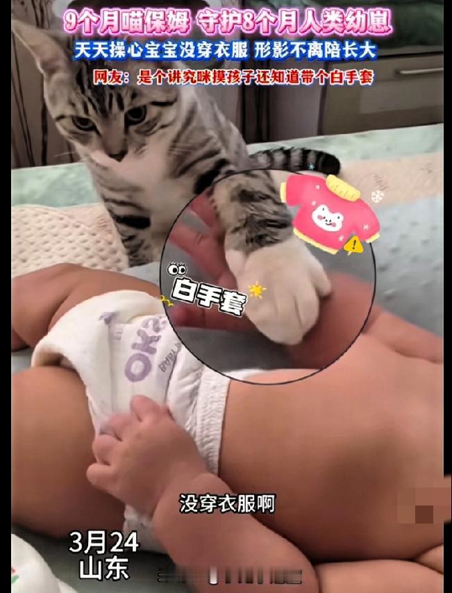 谁能想到，家里最操心娃的不是亲妈，竟是这只小猫咪！山东一位宝妈早上给宝宝换完