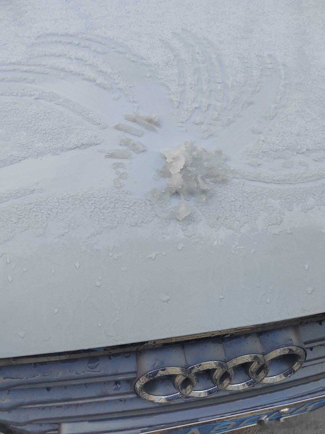 昨天晚上真的下雪了啊！