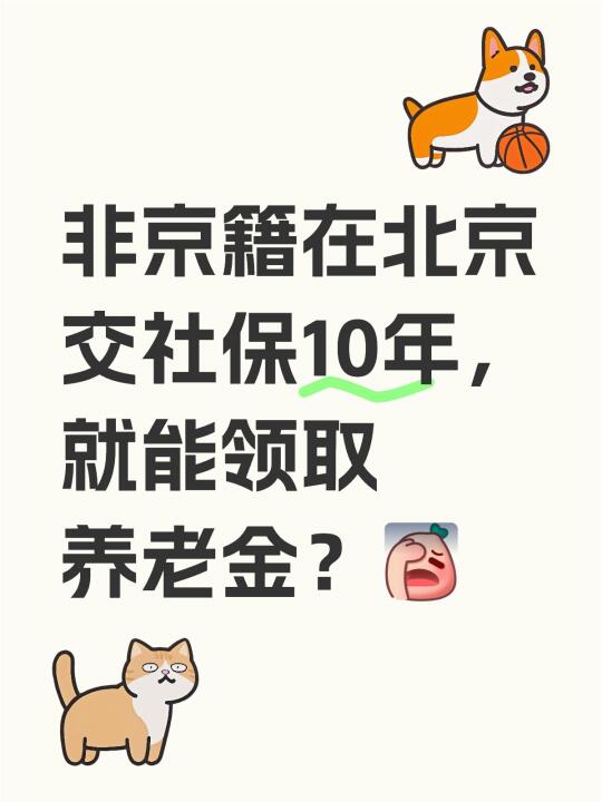非京籍在北京交社保10年，就能领取养老金？