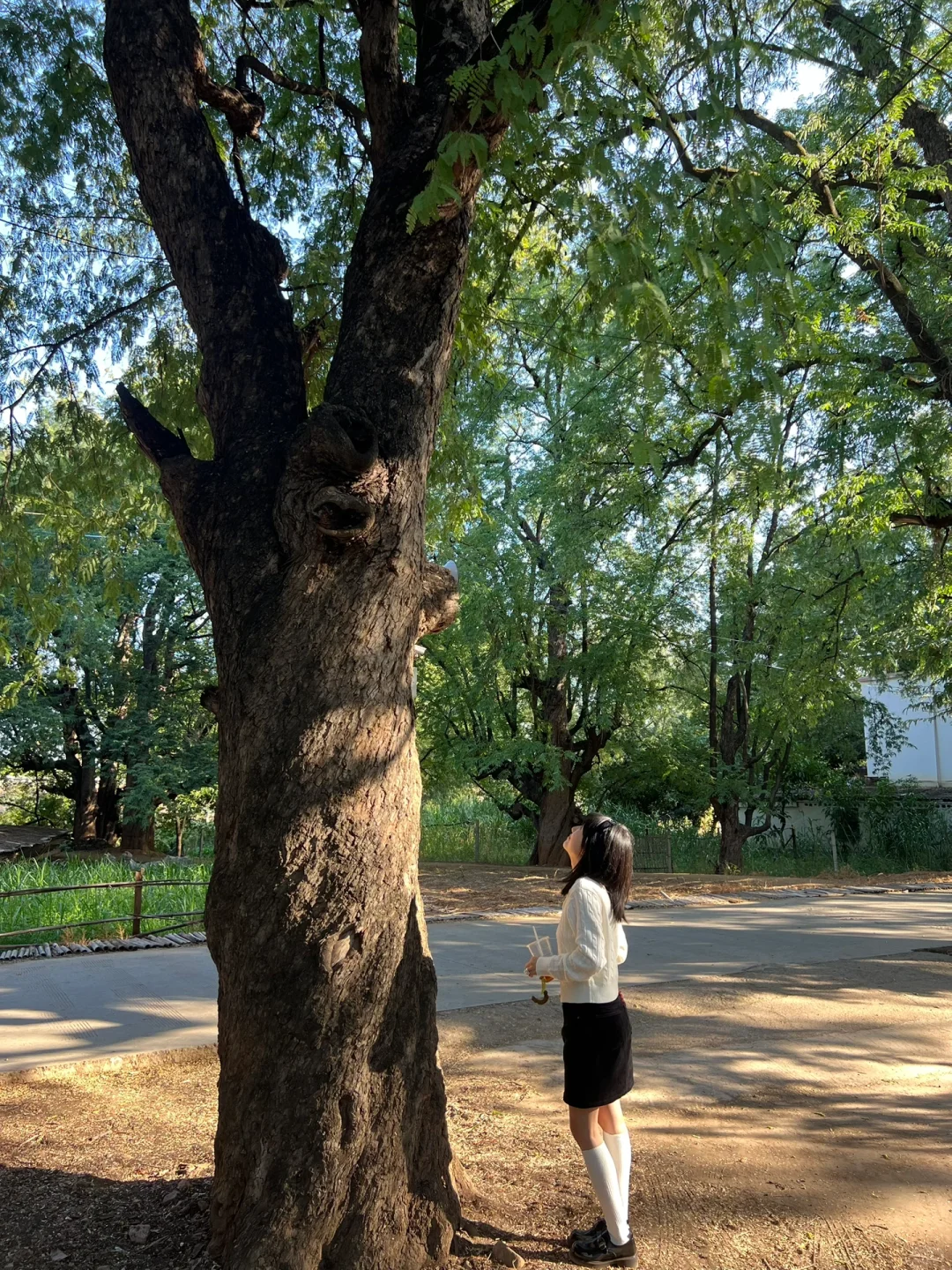 新年小众旅行地｜云南元谋雷丁村