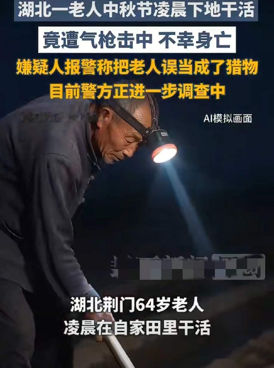 荆门非法持气Qing击中老人的男子，逃不过这3个结果！1.倾家荡产，牢底坐