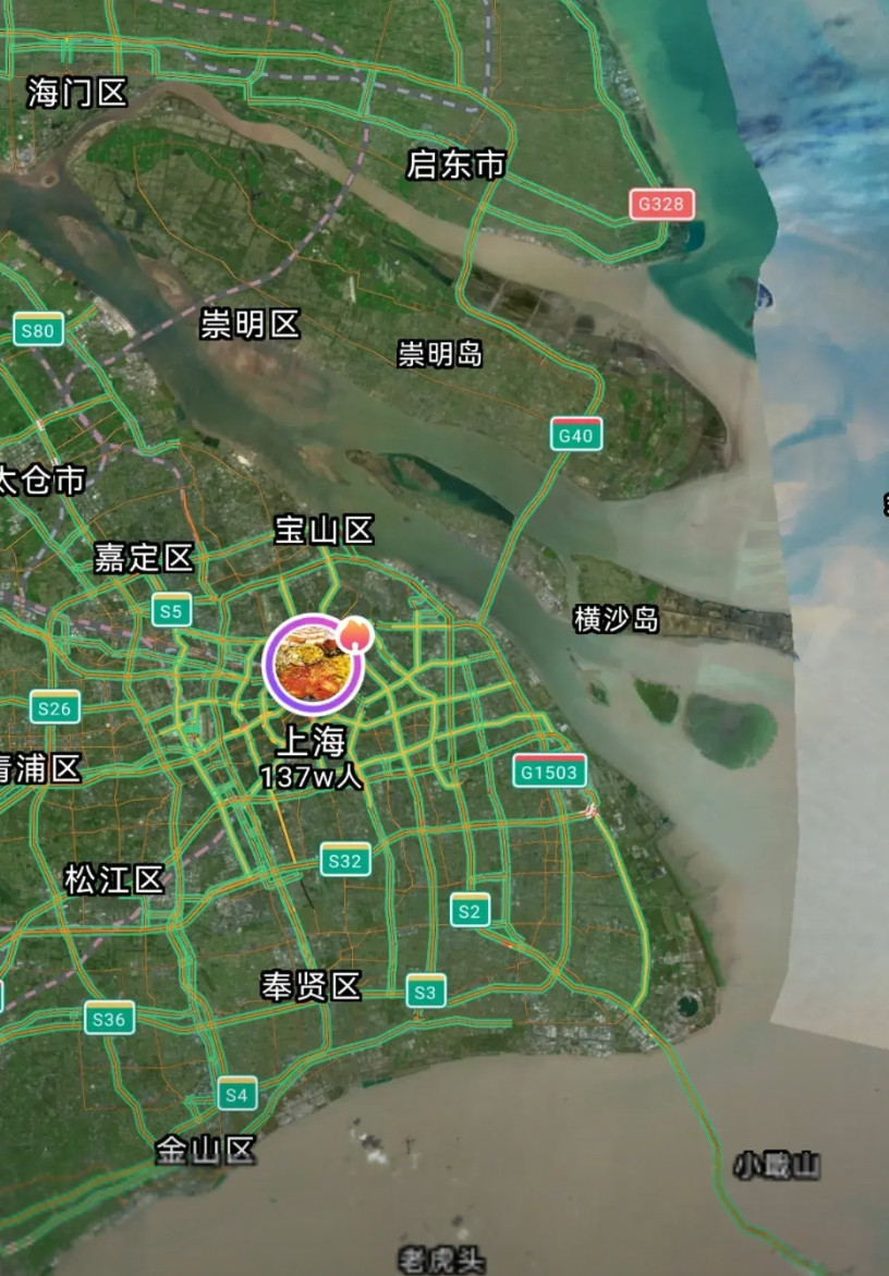 上海，真是一个奇怪的地方！北面，那么大的一条长江，不往它边上靠。南面，那么宽