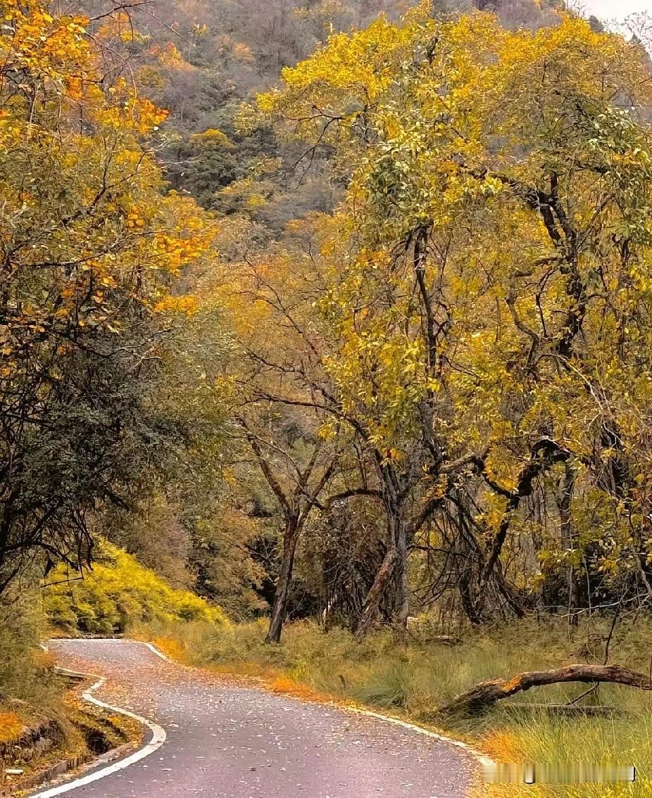 我们单位的养生达人前天走了，生命永远停留在了60岁。没退休前，她是单位出了名的