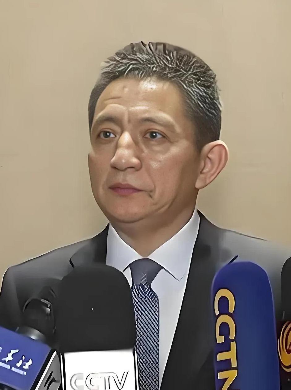 最近李成钢的英语视频在网络上刷屏了。这位北大法学院的高材生，后来又在德国顶尖的汉