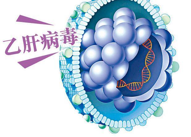 慢性乙肝——明白5点 知道乙肝难治!