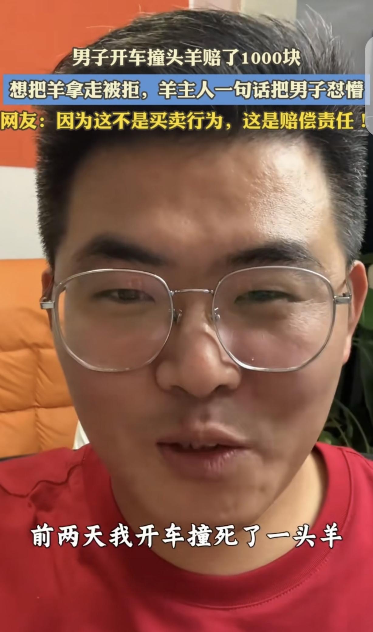 “破防了！”司机在郊外撞死领头羊，付了1000元赔偿后立刻想把死羊塞进后备箱，牧