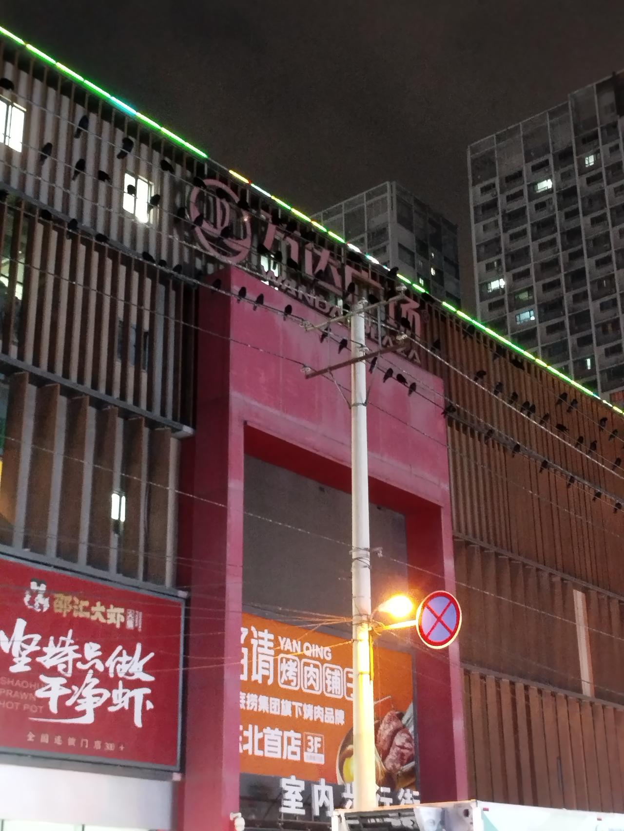 沈阳繁华地带，晚上夜景一绝。沈阳南站，太原街一带的晚上，房顶上的电线上落满了