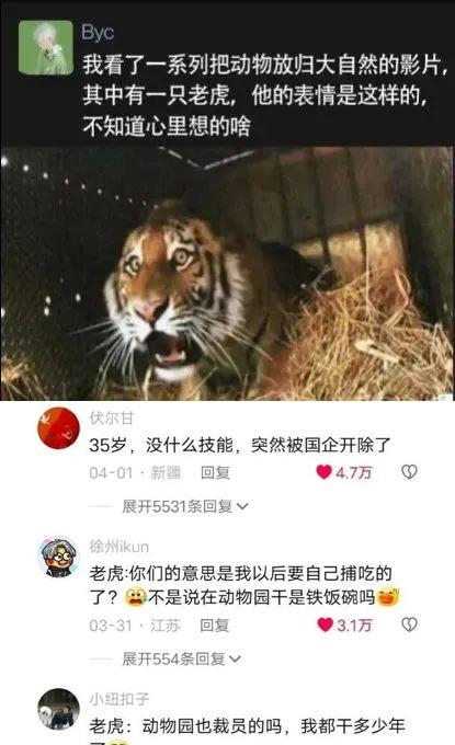 表情包～​​​