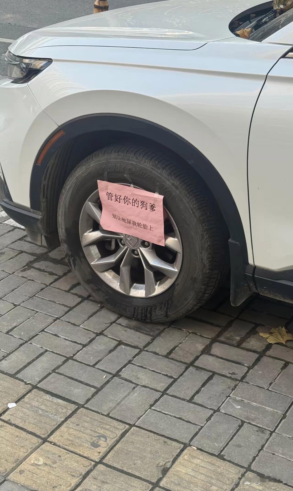 这哥们厉害👍，现在的狗狗也确实是这个样子的。[捂脸哭]