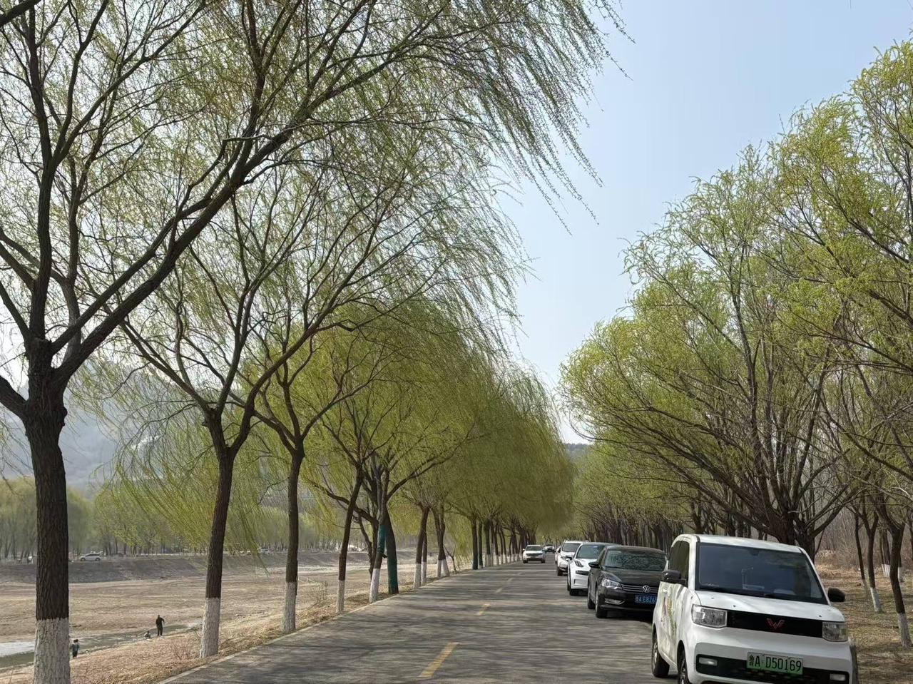 旅行让我身体得到了锻炼，旅行让我的内心得到了释放，旅行让我重新认识了自己。我从旅