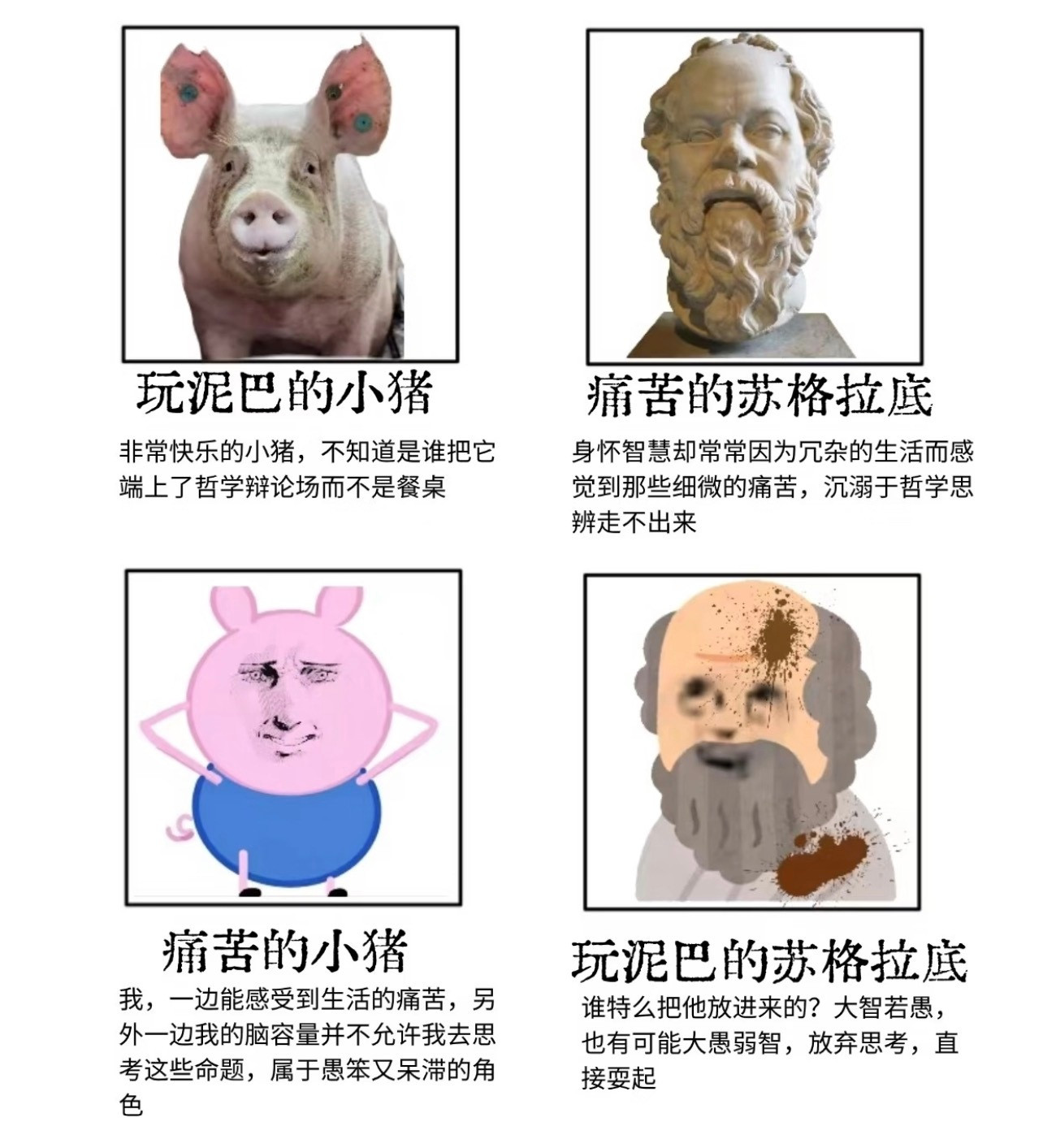 苏格拉底流汗黄豆meme​​​