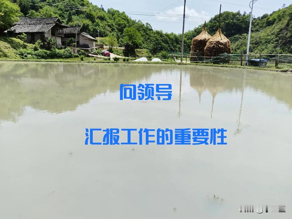 自从我调离到新的工作岗位以后，我明白了一件事情，在体制内，下班后一定要懂得向自己